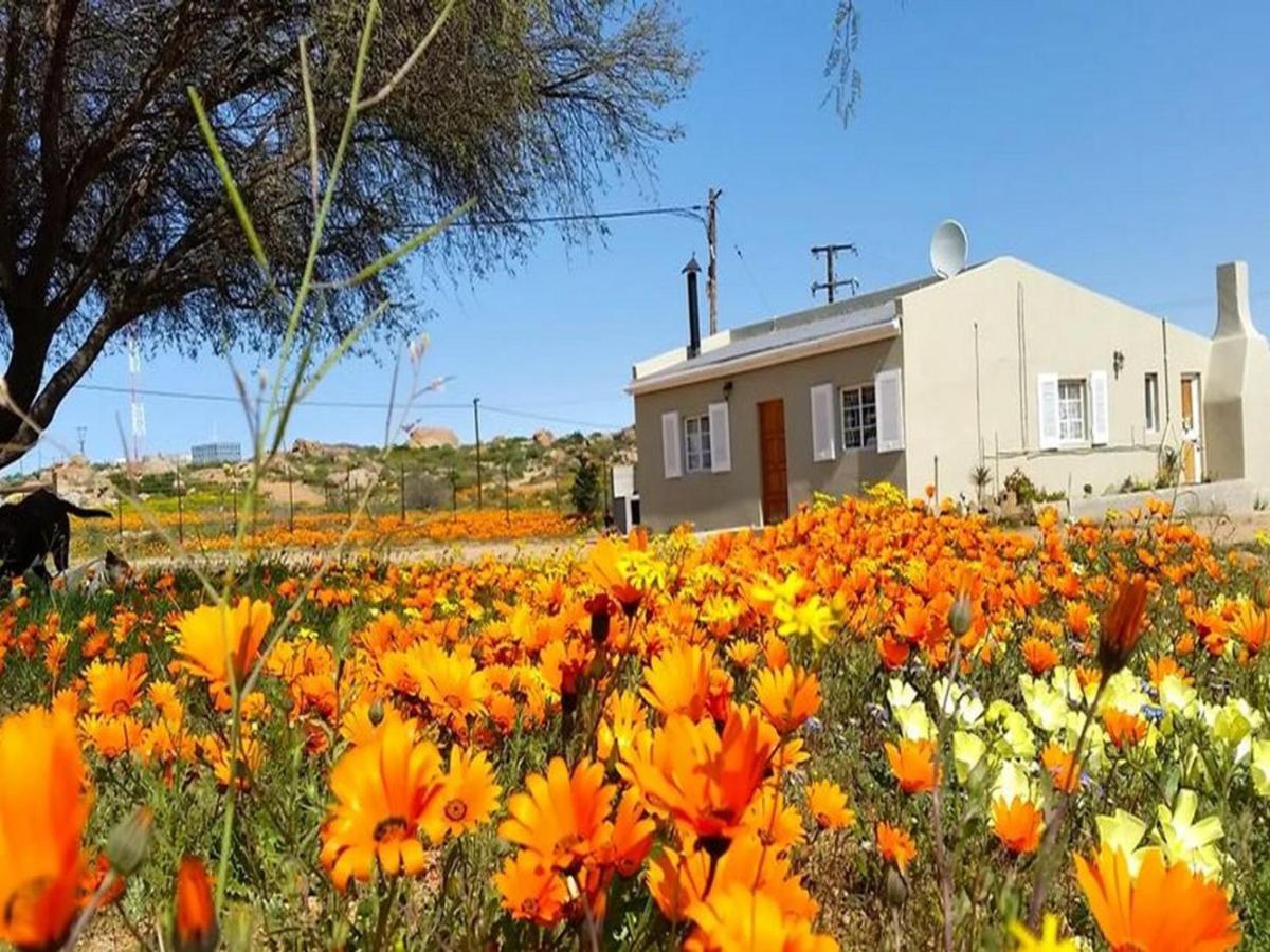 Kamieskroon Cosy Cottage Екстериор снимка